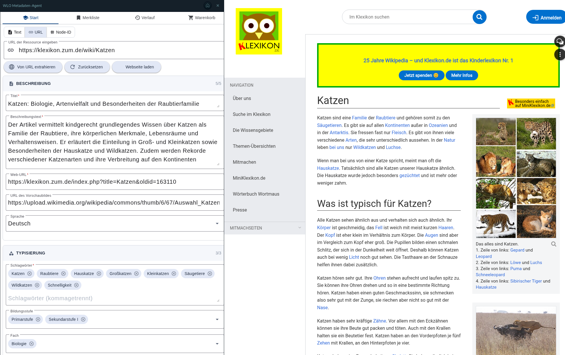 Auf der rechten Seite sieht man eine Seite zum Thema Katzen vom Klexikon. Auf der linken Seite sieht man die Browser Extension, wie sie gerade Daten eingesammelt hat und diese zur Kontrolle zeigt
